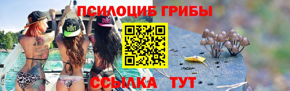 Всеволожск  Псилоцибиновые грибы мухоморы  Вход с VPN  Галлюциногенные грибы мухоморы 