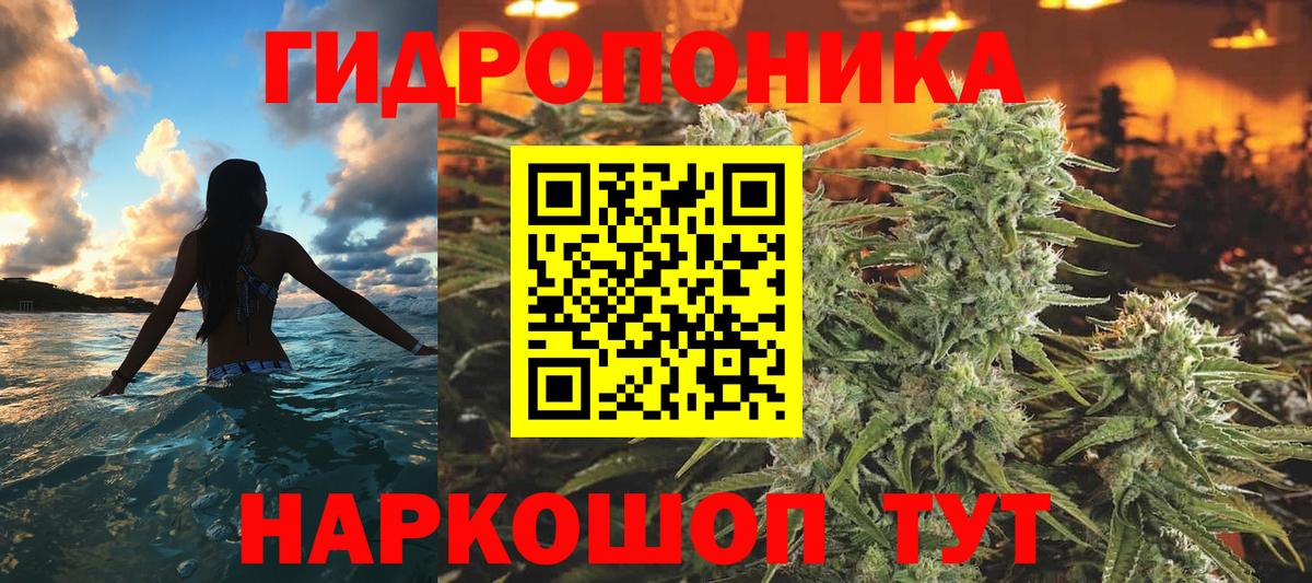 Бошки марихуана гибрид Всеволожск